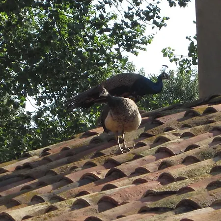 Country house Casa Horta Avia