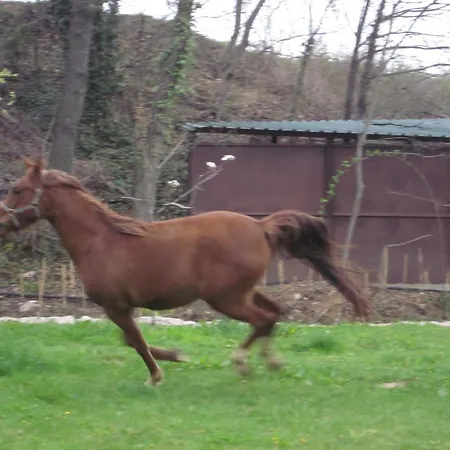 Casa Horta Country house
